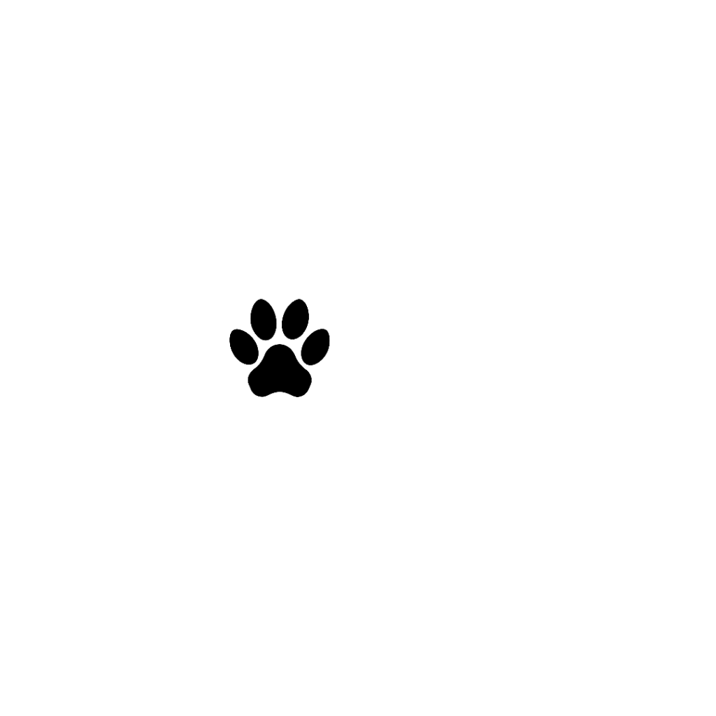 Dopaws Ltd